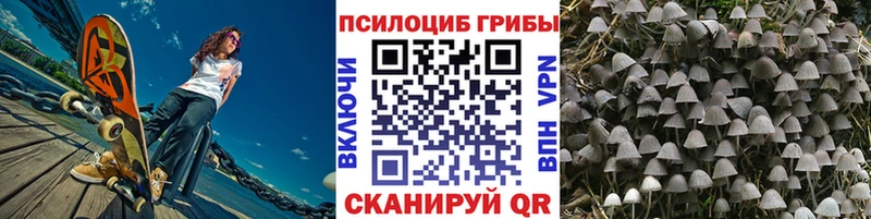 Галлюциногенные грибы мицелий  Николаевск-на-Амуре 